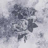 SweetHome Cold roses