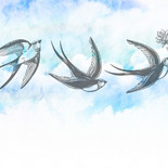 SweetHome Swallows