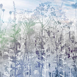 URBAN  Nature